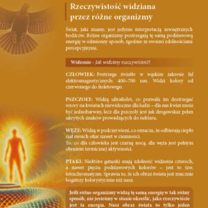 Hologramowy Świat<br>Zmysły - obrazek 6